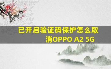 已开启验证码保护怎么取消OPPO A2 5G